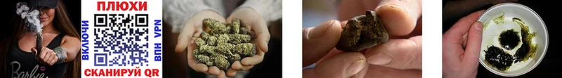 ГАШ Cannabis Павловск