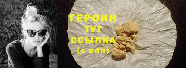 гидра Няндома