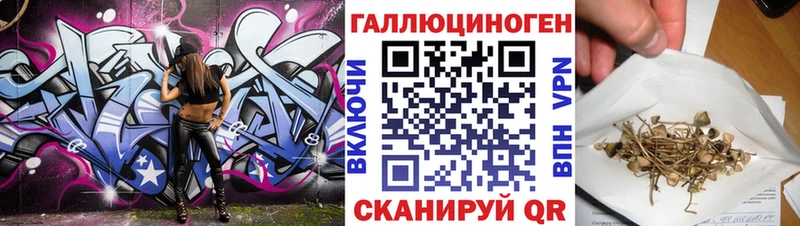 Псилоцибиновые грибы Psilocybine cubensis  Павловск 