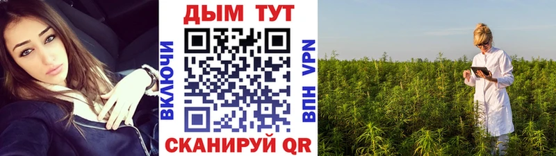 Шишки марихуана планчик Павловск